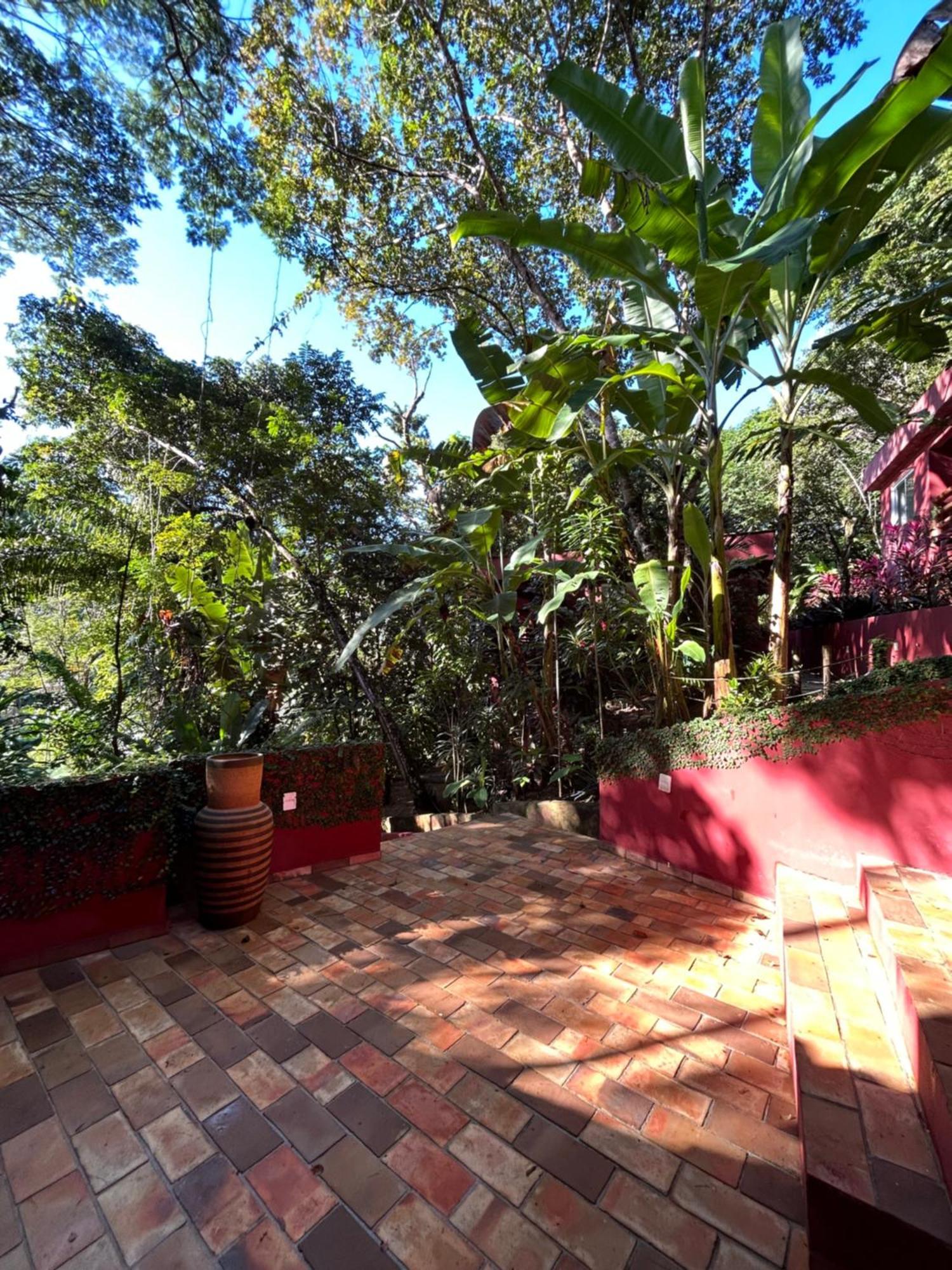 Jardim Botanico Casa Rossa Bungalows & Apartments مورو دي ساو باولو المظهر الخارجي الصورة